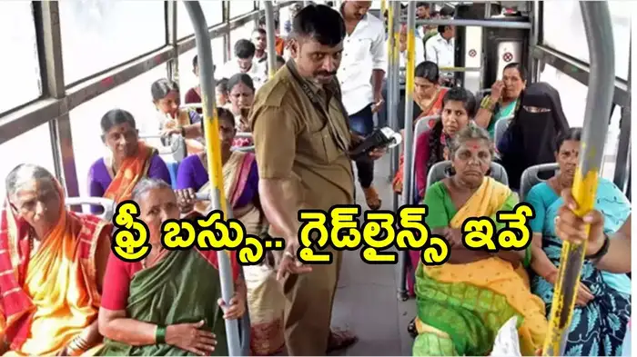 AP Breaking News – Latest Stories and Updates from Andhra Pradesh,Sidebar 2 Image