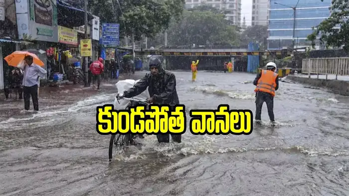 AP Breaking News – Latest Stories and Updates from Andhra Pradesh,Sidebar 2 Image